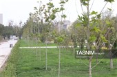 بررسی میدانی مسولان اردبیل از پروژه‌های عمران شهری در قاب تصاویر