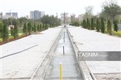 بررسی میدانی مسولان اردبیل از پروژه‌های عمران شهری در قاب تصاویر
