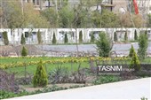 بررسی میدانی مسولان اردبیل از پروژه‌های عمران شهری در قاب تصاویر