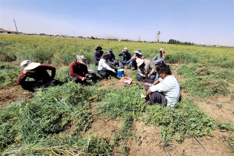 اخبار همدان , اخبار استان همدان , 