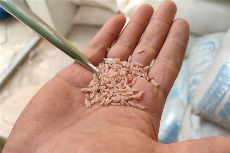 نظام مسائل استان گیلان , اخبار استان گیلان , واردات برنج , کشاورزی , 