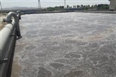«طلای خاکستری» که در سالور هدر می‌رود