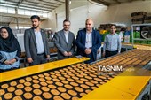 بررسی فرآیند تولید و ارتقای کیفیت محصولات غذایی