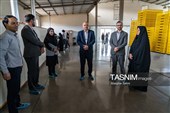 بررسی فرآیند تولید و ارتقای کیفیت محصولات غذایی