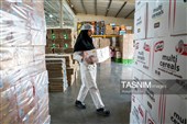بررسی فرآیند تولید و ارتقای کیفیت محصولات غذایی