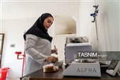 بررسی فرآیند تولید و ارتقای کیفیت محصولات غذایی