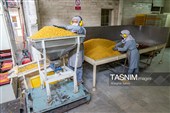 بررسی فرآیند تولید و ارتقای کیفیت محصولات غذایی
