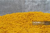 بررسی فرآیند تولید و ارتقای کیفیت محصولات غذایی
