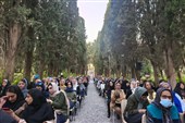 وقتی مولانا با هنر بومی خراسان جنوبی روایت شد