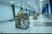 بازدید هیئت پارلمانی از سد دالکی و نخلستان‌های استان بوشهر
