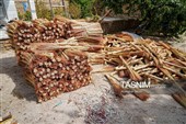 Традиционный народный промысел по изготовлению метёл в иранских деревнях