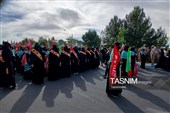 جانفدایان زنجان