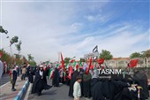 جانفدایان زنجان