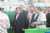 بازدید رئیس‌کل بانک مرکزی و استاندار اردبیل از واحدهای تولیدی