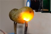 Researchers Find Why Pickles Glow
