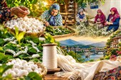پیله تا توسعه؛ نوغانداری چگونه می‌تواند دوباره اقتصاد روستا را بسازد؟