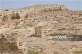 بازدید وزیر میراث فرهنگی از آثار تاریخی جنوب استان بوشهر