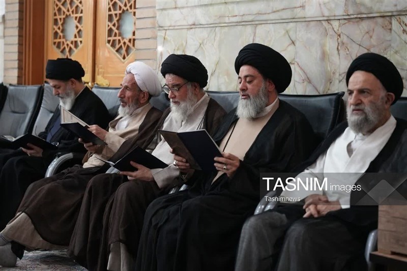 سید حسن نصرالله , حضرت معصومه (س) , اخبار استان قم , 