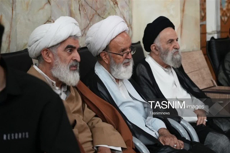سید حسن نصرالله , حضرت معصومه (س) , اخبار استان قم , 