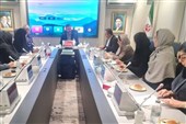 دیدار شورای اتحادیه زنان کارآفرین بریکس با غریب آبادی