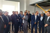 استاندار خراسان جنوبی: فرآوری زرشک و تکمیل زنجیره ارزش شتاب بگیرد