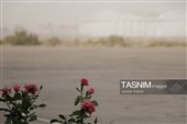 تعطیلی کرمان در پی آلودگی هوا
