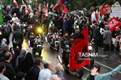 جان‌فدایان البرزی در قاب دوربین تسنیم
