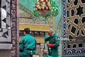 تنظیف ضریح مطهر امام رضا علیه‌السلام