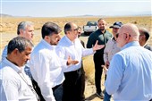 هلدینگ خلیج فارس برای سرمایه‌گذاری درپتروشیمی نهبندان اعلام آمادگی کرد