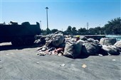 اخبار تهران| جمع‌آوری 20 مرکز غیرمجاز حمل پسماند در منطقه 19