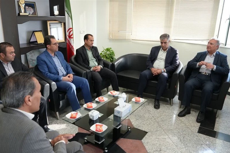 اخبار استان خراسان جنوبی , خبرگزاری تسنیم , اخبار بیرجند ,