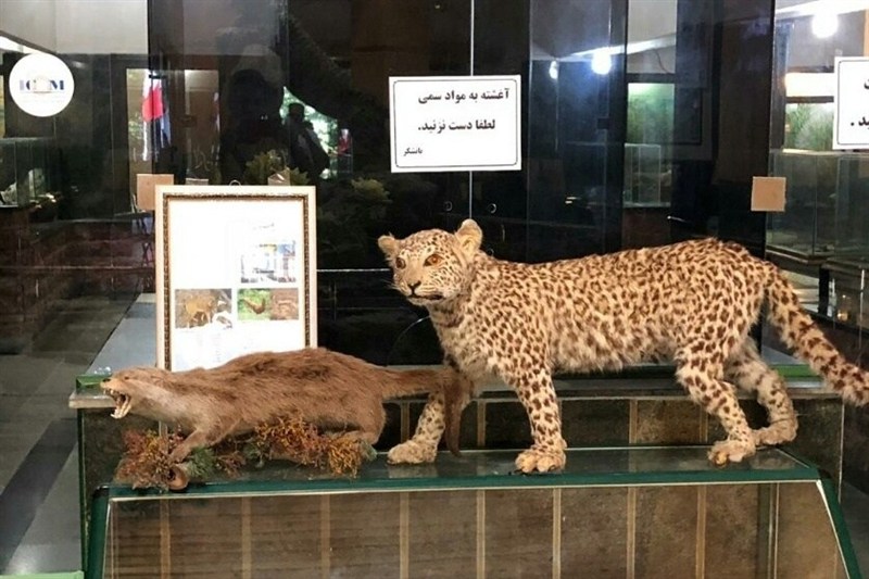 اخبار استان گلستان , آثار باستانی | آثار تاریخی , گردشگری , میراث فرهنگی , 