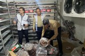کشف بیش از یک تن فرآورده خام دامی غیربهداشتی در اسلامشهر