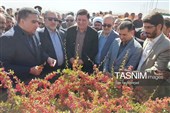 جشن روز ملی روستا و عشایر در قائنات