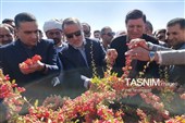 جشن روز ملی روستا و عشایر در قائنات