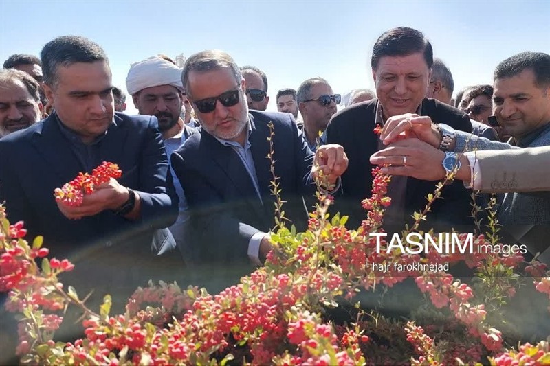 اخبار استان خراسان جنوبی , خبرگزاری تسنیم , اخبار  شهرستان قائن , 