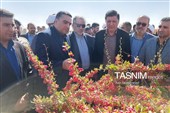 جشن روز ملی روستا و عشایر در قائنات