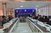 هم‌افزایی تشکل‌های بخش خصوصی، مطالبه واحد اقتصادی خراسان جنوبی شد