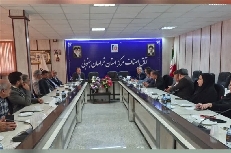 اخبار استان خراسان جنوبی , خبرگزاری تسنیم , بخش خصوصی ,