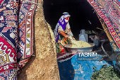 روز ملی روستا و عشایر