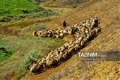 روز ملی روستا و عشایر