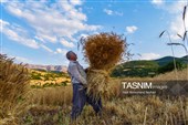 روز ملی روستا و عشایر