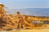 روز ملی روستا و عشایر