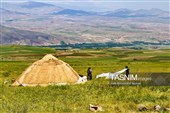 روز ملی روستا و عشایر