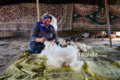 زندگی در امتداد کوچ ؛ روایت روزمره عشایر قره میدان خراسان شمالی