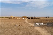 زندگی در امتداد کوچ ؛ روایت روزمره عشایر قره میدان خراسان شمالی