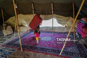 زندگی در امتداد کوچ ؛ روایت روزمره عشایر قره میدان خراسان شمالی
