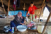 زندگی در امتداد کوچ ؛ روایت روزمره عشایر قره میدان خراسان شمالی