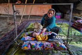 زندگی در امتداد کوچ ؛ روایت روزمره عشایر قره میدان خراسان شمالی