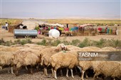 زندگی در امتداد کوچ ؛ روایت روزمره عشایر قره میدان خراسان شمالی